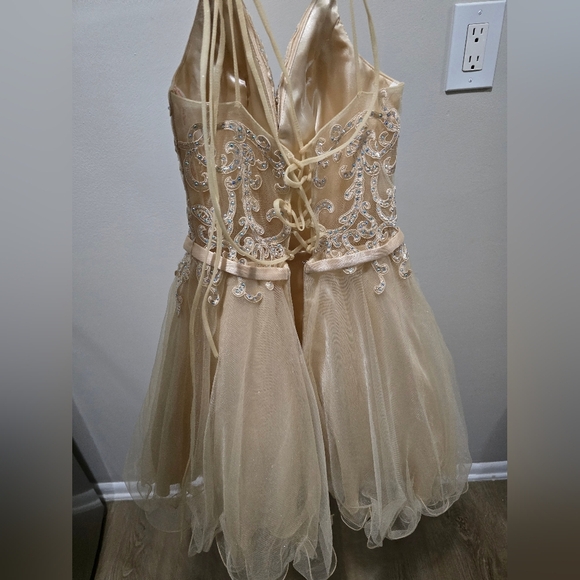 Chic Beige Embellished Gown - Picture 3 of 11